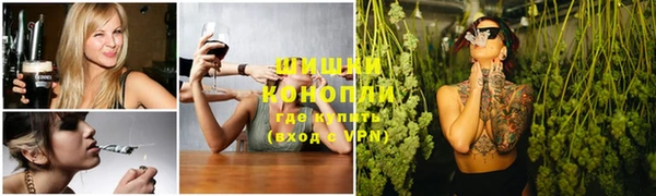 мдпв Михайловск